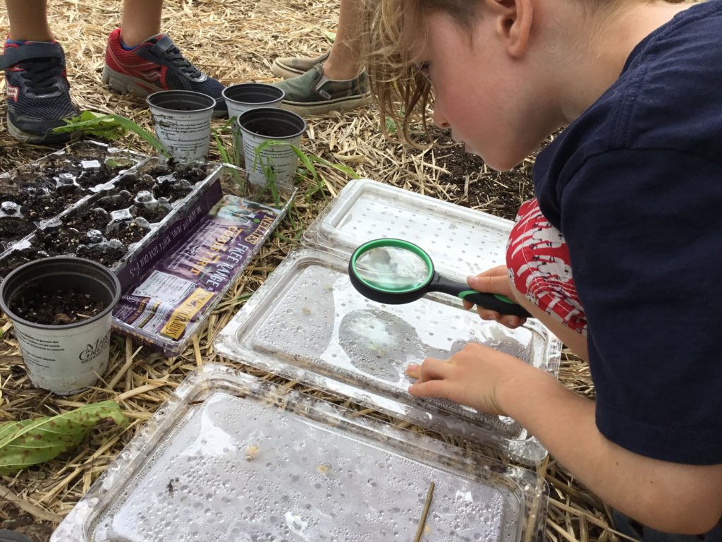 Science For Kids - Citizen Science Projects by iCAMP