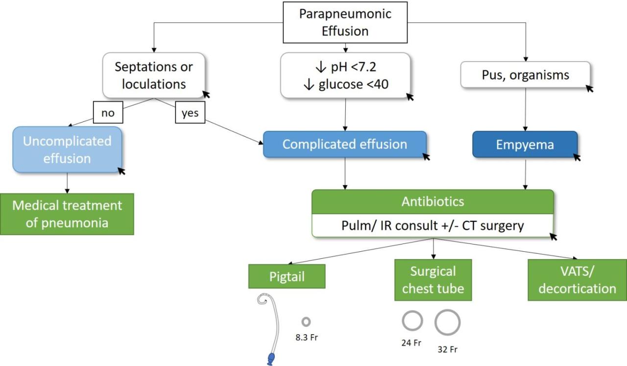 Pulmonology Archives - teachIM