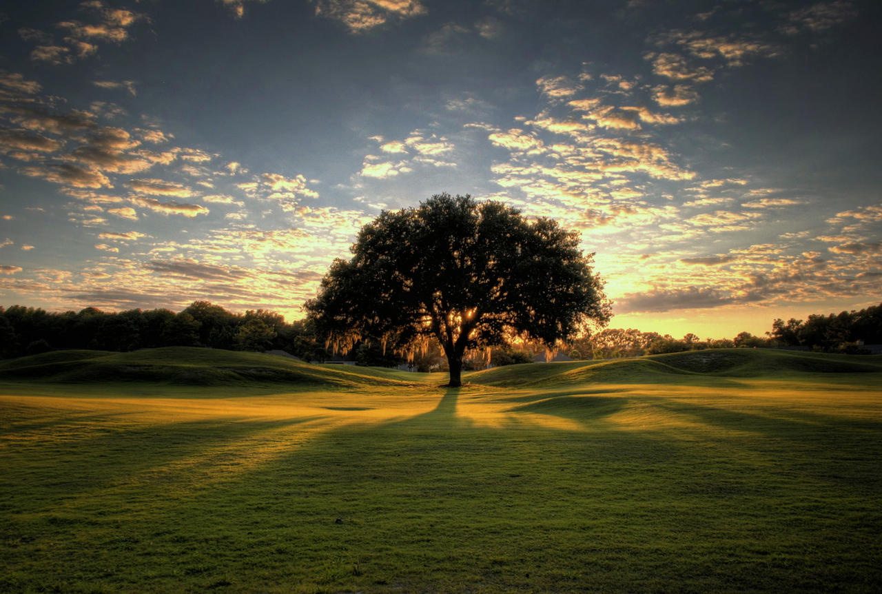 Workflow - Snap object on top of surface of other object - Blender ...